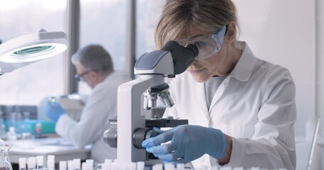 Wall Mural - a researcher examines a biological sample under a microscope.