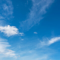 Wall Mural - blue sky with white cirrus clouds