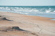 Beach with dunes at Ormond Beach, FL