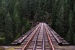 Old railway bridge. Vancouver Island. Galloping Goose trail. British Columbia. Canada
