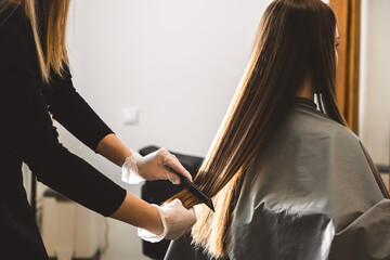 Poster - Master hairdresser combs the girl's hair after washing and before styling in a beauty salon.