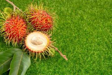 A Group of Organic Rambutans both in whole and cut half with fresh leaves, popular Thai fruits, on green grass. Copy space