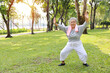 © feeling lucky - Asian senior woman practice yoga excercise, tai chi tranining, stretching and meditation together with relaxation for healthy in park outdoor after retirement. Happy elderly outdoor lifestyle concept
