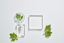 Top View Of Mugwort With Transparent Podium With Blank Space For Advertising 