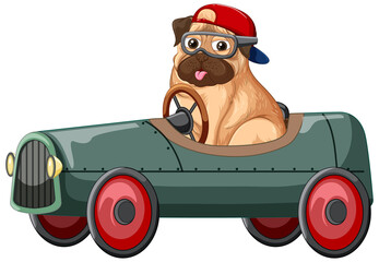 Wall Mural - Funny dog cartoon character driving car on white background