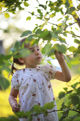 The family is resting in nature. Vacations in the fresh air. Weekend children play in the park.