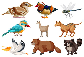 Wall Mural - Different kinds of animals collection