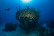 A scuba diver explores a sunken shipwreck in The Bahamas, Long Island, Caribbean