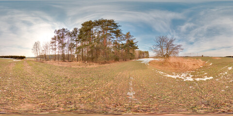 Wall Mural - Amazing landscape with blue sky at spring trees without greens and grass 3D spherical panorama with 360 degree viewing angle Ready for virtual reality vr Full equirectangular projection