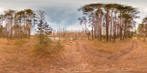 Wall Mural - Amazing landscape with blue sky at spring trees without greens and grass 3D spherical panorama with 360 degree viewing angle Ready for virtual reality vr Full equirectangular projection
