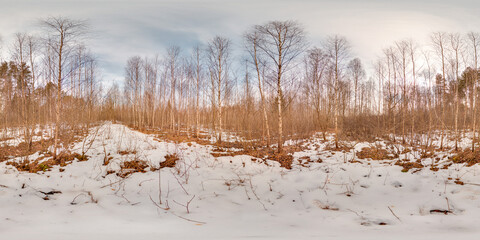Wall Mural - Amazing landscape with blue sky at spring trees without greens and grass with snow 3D spherical panorama with 360 degree viewing angle Ready for virtual reality vr Full equirectangular projection