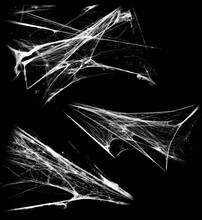 Overlay The Cobweb Effect. A Collection Of Spider Webs Isolated On A Black Background. Spider Web Elements As Decoration To The Design. Halloween Props