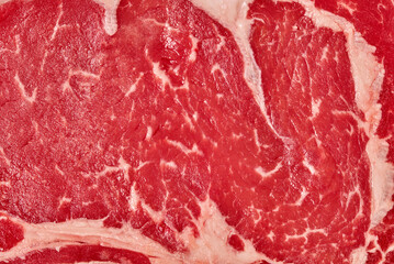 Poster - T-bone steak close-up