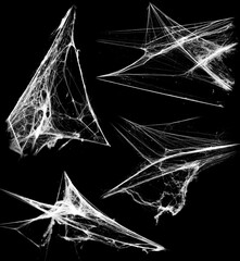Wall Mural - overlay the cobweb effect. a collection of spider webs isolated on a black background. spider web el