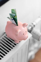 Wall Mural - heating, energy crisis and consumption concept - piggy bank with money on radiator at home