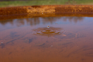 Sticker - Drop of water falls into singing bowl in the castle park Winsen