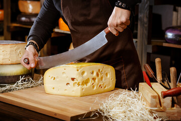 chef cuts hard cheese with special cheese knife, cheese sale concept 