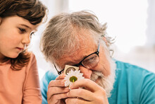 Grandfather With Girl Examining Chamomile