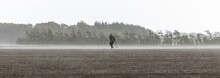 Panoramic Shot Of Detectorists Looking For Ancient Metal On The Fields In Denmark