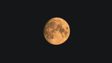 Wall Mural - full moon in a night sky