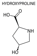 Poster - Hydroxyproline (Hyp) amino acid. Essential component of collagen. Skeletal formula.