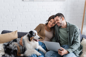 smiling young couple watching movie on laptop near australian shepherd dog.