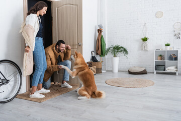 Wall Mural - akita inu dog giving paw to happy man in winter jacket near cheerful girlfriend.