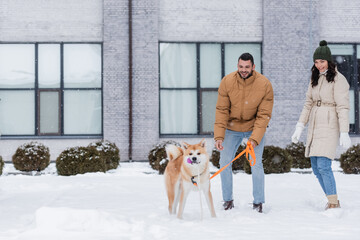 Wall Mural - pleased man holding leash while walking near girlfriend and akita inu dog.