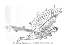 Illustration Of A 19th-century Vintage Flying Device With Bird's Wings.
