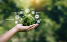 Hand Holding A Green Globe In The Concept Of Nature About Management Esg, Sustainability, Ecology And Renewable Energy For Save The World Environmental And Conservation