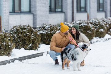 Wall Mural - full length of cheerful young couple in winter jackets looking at each other near australian shepherd dog.