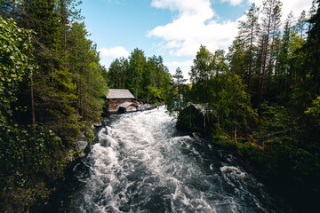 Wall Mural - Beautiful summer landscape in Oulanka National Park. Finland.