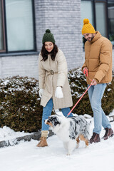 Wall Mural - full length of happy young couple in winter jackets and knitted hats walking with australian shepherd dog.