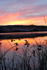 Sunrise during a Saskatchewan waterfowl hunt
