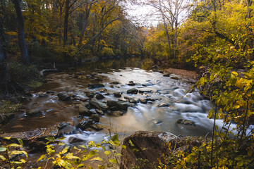 Wall Mural - scenic view of a river flowing in the forest in white clay creek state park, newark, delaware