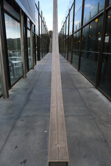 Vertical shot of a path in the Griffith Park Los, USA