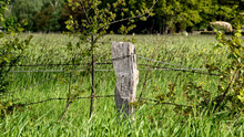 Closeup Of A Wire Fence Connected With A Rusty Wooden Short Pole On The Grass