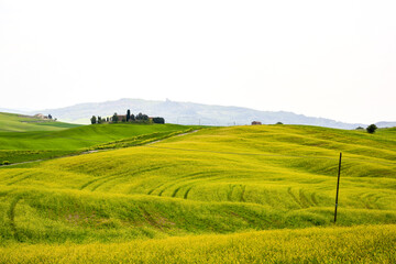 Sticker - Beautiful shot of Tuscany landscape during a travel in Italy