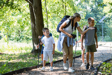 Wall Mural - Group of children hiking in the forest with their teacher.They learn about nature and wildlife.	