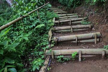 Beautiful shot of wooden steps surrounded with leaves