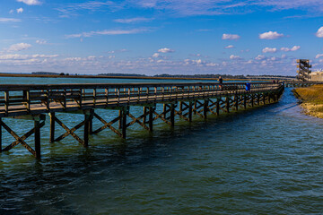 Wall Mural - The Port Royal Boardwalk and Observation Tower, Beaufort, South Carolina, USA