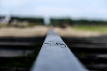 Train Tracks At Birkenau