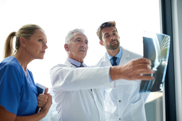 Aufkleber - Examining the latest scans together. Cropped shot of a group of medical practitioners examining an x-ray together.