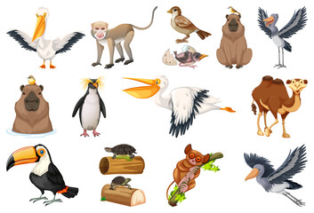 Sticker - Different kinds of animals collection