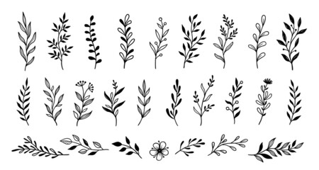 Aufkleber - Leaf branch wreath rustic set. Hand drawn sketch doodle style leaf. Flourish branch, laurel flower for border, divider design element. Vector illustration.