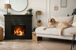 © New Africa - Adorable Golden Retriever dog on sofa near electric fireplace indoors