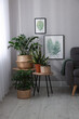 © New Africa - Stylish living room interior with beautiful houseplants and grey armchair