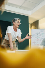 Experienced businesswoman leading a meeting in an office