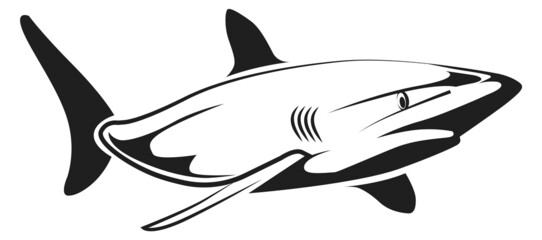 Wall Mural - Shark icon. Sea predator logo. Underwater animal