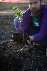 Wall Mural - planting a tree in springtime new life concept